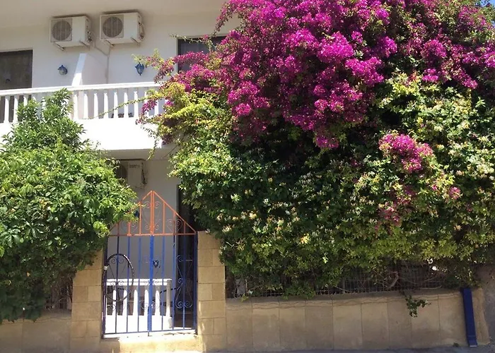 Panorama 2* גנאדי