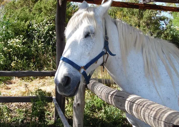 Hotel Panorama Gennadi