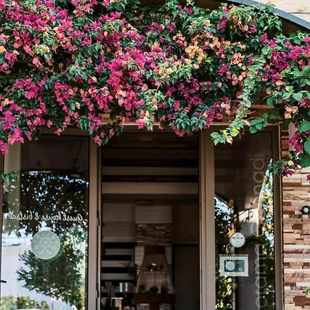 Panorama فندق 2*